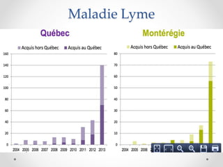Maladie Lyme
 