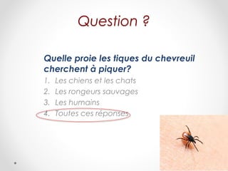 Question ?
Quelle proie les tiques du chevreuil
cherchent à piquer?
1. Les chiens et les chats
2. Les rongeurs sauvages
3. Les humains
4. Toutes ces réponses
 