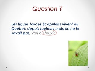 Question ?
Les tiques Ixodes Scapularis vivent au
Québec depuis toujours mais on ne le
savait pas, vrai ou faux?
 