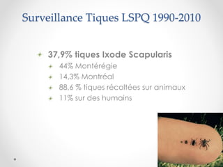 Surveillance Tiques LSPQ 1990-2010
37,9% tiques Ixode Scapularis
44% Montérégie
14,3% Montréal
88,6 % tiques récoltées sur animaux
11% sur des humains
 
