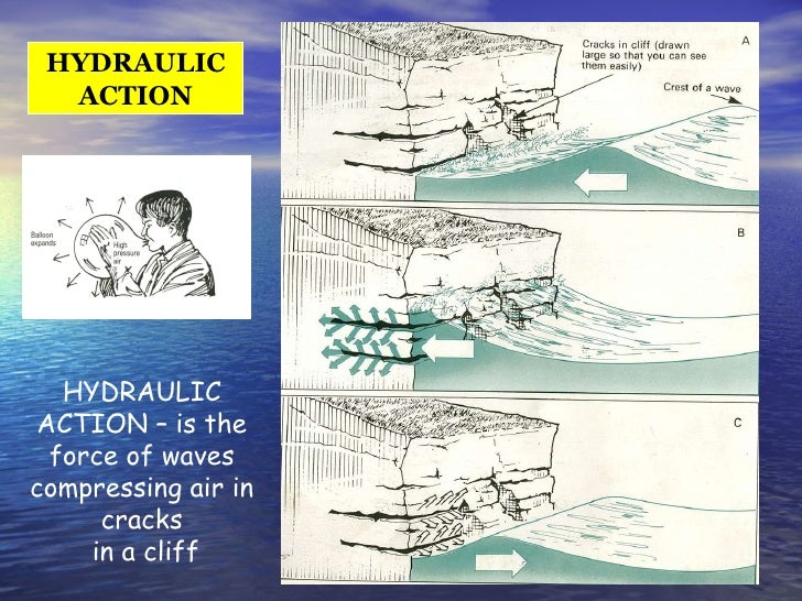 Lyme regis fieldtrip 2011