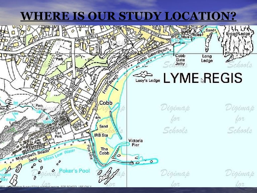 Lyme regis fieldtrip 2011