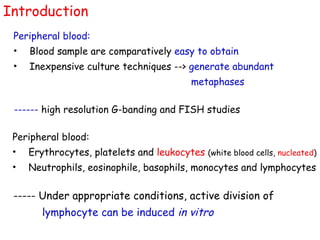 Introduction ,[object Object],[object Object],[object Object],[object Object],------  high resolution G-banding and FISH studies ,[object Object],[object Object],[object Object],-----  Under appropriate conditions, active division of  lymphocyte can be induced  in vitro 
