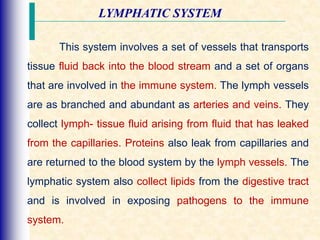 LYMPHATIC SYSTEM
This system involves a set of vessels that transports
tissue fluid back into the blood stream and a set of organs
that are involved in the immune system. The lymph vessels
are as branched and abundant as arteries and veins. They
collect lymph- tissue fluid arising from fluid that has leaked
from the capillaries. Proteins also leak from capillaries and
are returned to the blood system by the lymph vessels. The
lymphatic system also collect lipids from the digestive tract
and is involved in exposing pathogens to the immune
system.
 