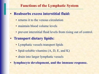 Functions of the Lymphatic System
• Reabsorbs excess interstitial fluid:
• returns it to the venous circulation
• maintain blood volume levels
• prevent interstitial fluid levels from rising out of control.
• Transport dietary lipids:
• Lymphatic vessels transport lipids
• lipid-soluble vitamins (A, D, E, and K)
• drain into larger lymphatic vessels
• lymphocyte development, and the immune response.
 