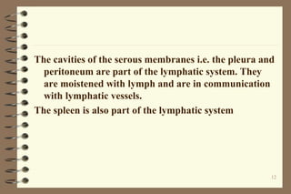 The cavities of the serous membranes i.e. the pleura and
peritoneum are part of the lymphatic system. They
are moistened with lymph and are in communication
with lymphatic vessels.
The spleen is also part of the lymphatic system
12
 
