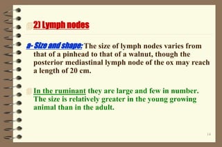 14
2) Lymph nodes
a- Size and shape: The size of lymph nodes varies from
that of a pinhead to that of a walnut, though the
posterior mediastinal lymph node of the ox may reach
a length of 20 cm.
 In the ruminant they are large and few in number.
The size is relatively greater in the young growing
animal than in the adult.
 
