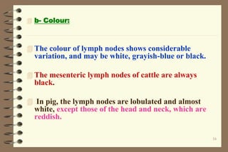 16
 b- Colour:
 The colour of lymph nodes shows considerable
variation, and may be white, grayish-blue or black.
 The mesenteric lymph nodes of cattle are always
black.
 In pig, the lymph nodes are lobulated and almost
white, except those of the head and neck, which are
reddish.
 