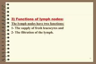 3) Functions of lymph nodes:
The lymph nodes have two functions:
1- The supply of fresh leucocytes and
2- The filtration of the lymph.
19
 