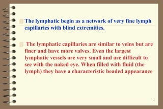 2
 The lymphatic begin as a network of very fine lymph
capillaries with blind extremities.
 The lymphatic capillaries are similar to veins but are
finer and have more valves. Even the largest
lymphatic vessels are very small and are difficult to
see with the naked eye. When filled with fluid (the
lymph) they have a characteristic beaded appearance
 
