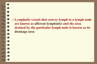  Lymphatic vessels that convey lymph to a lymph node
are known as afferent lymphatics and the area
drained by the particular lymph node is known as its
drainage area
4
 
