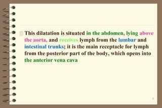  This dilatation is situated in the abdomen, lying above
the aorta, and receives lymph from the lumbar and
intestinal trunks; it is the main receptacle for lymph
from the posterior part of the body, which opens into
the anterior vena cava
8
 