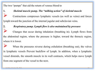 The two “pumps” that aid the return of venous blood to
1. Skeletal muscle pump. The “milking action” of skeletal muscle
 Contractions compresses lymphatic vessels (as well as veins) and forces
lymph toward the junction of the internal jugular and subclavian veins.
2. Respiratory pump. Lymph flow is also maintained by pressure
 Changes that occur during inhalation (breathing in). Lymph flows from
the abdominal region, where the pressure is higher, toward the thoracic region,
where it is lower.
 When the pressures reverse during exhalation (breathing out), the valves
in lymphatic vessels Prevent backflow of lymph. In addition, when a lymphatic
vessel distends, the smooth muscle in its wall contracts, which helps move lymph
from one segment of the vessel to the next.
Sunday, January 18, 2015 12
 