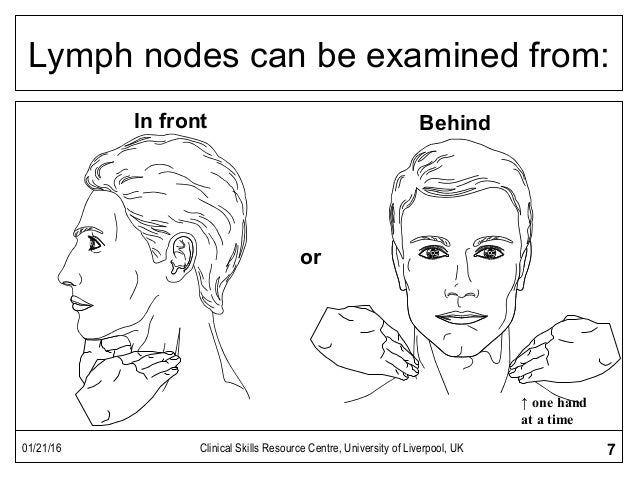 LYMPH NODE EXAMINATION PDF DOWNLOAD LYMPH NODE EXAMINATION PDF DOWNLOAD