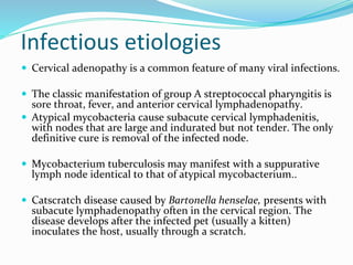 Infectious etiologies
 Cervical adenopathy is a common feature of many viral infections.
 The classic manifestation of group A streptococcal pharyngitis is
sore throat, fever, and anterior cervical lymphadenopathy.
 Atypical mycobacteria cause subacute cervical lymphadenitis,
with nodes that are large and indurated but not tender. The only
definitive cure is removal of the infected node.
 Mycobacterium tuberculosis may manifest with a suppurative
lymph node identical to that of atypical mycobacterium..
 Catscratch disease caused by Bartonella henselae, presents with
subacute lymphadenopathy often in the cervical region. The
disease develops after the infected pet (usually a kitten)
inoculates the host, usually through a scratch.
 