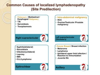 Common Causes of localized lymphadenopathy
(Site Predilection)
• Pulmonary / Mediastinal /
Esophageal Malignancy
• T.B.
• Sarcoidosis
• Toxoplasmosis
Right supraclavicular
• Intra-abdominal malignancy
• RCC
• Ovarian/Testicular /Prostate
malignancy
Left supraclavicular
(Virchow’s)
• Cancer Breast / Breast infection
• Melanoma
• Lymphoma
• Ipsilateral upper limb infection /
Reaction to immunization
• Juvenile RA
Axillary
• Syphilis(bilateral)
• Sarcoidosis
• Infection(unilateral)
• Leprosy
• IMN
• CLL/Lymphoma
Epitrochlear
 