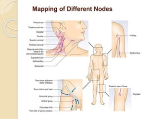 Mapping of Different Nodes
 