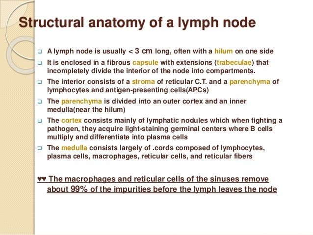 Lymphadenopathy approach