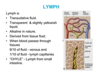 LYMPH
Lymph is
• Transudative fluid.
• Transparent & slightly yellowish
liquid.
• Alkaline in nature.
• Derived from tissue fluid.
• When blood passes through
tissues
9/10 of fluid - venous end
1/10 of fluid - lymph capillaries
• “CHYLE” - Lymph from small
intestine.
 