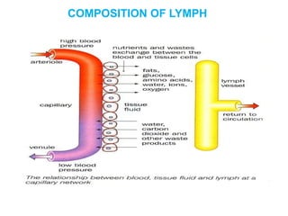 COMPOSITION OF LYMPH
 