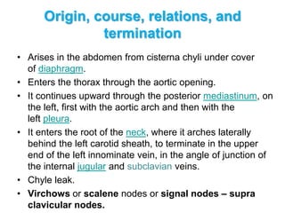 Origin, course, relations, and
termination
• Arises in the abdomen from cisterna chyli under cover
of diaphragm.
• Enters the thorax through the aortic opening.
• It continues upward through the posterior mediastinum, on
the left, first with the aortic arch and then with the
left pleura.
• It enters the root of the neck, where it arches laterally
behind the left carotid sheath, to terminate in the upper
end of the left innominate vein, in the angle of junction of
the internal jugular and subclavian veins.
• Chyle leak.
• Virchows or scalene nodes or signal nodes – supra
clavicular nodes.
 