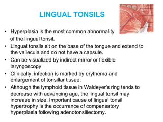 LINGUAL TONSILS
• Hyperplasia is the most common abnormality
of the lingual tonsil.
• Lingual tonsils sit on the base of the tongue and extend to
the vallecula and do not have a capsule.
• Can be visualized by indirect mirror or flexible
laryngoscopy
• Clinically, infection is marked by erythema and
enlargement of tonsillar tissue.
• Although the lymphoid tissue in Waldeyer's ring tends to
decrease with advancing age, the lingual tonsil may
increase in size. Important cause of lingual tonsil
hypertrophy is the occurrence of compensatory
hyperplasia following adenotonsillectomy.
 