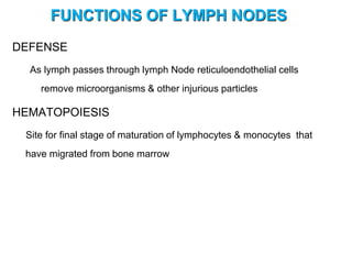 FUNCTIONS OF LYMPH NODES
DEFENSE
As lymph passes through lymph Node reticuloendothelial cells
remove microorganisms & other injurious particles
HEMATOPOIESIS
Site for final stage of maturation of lymphocytes & monocytes that
have migrated from bone marrow
 