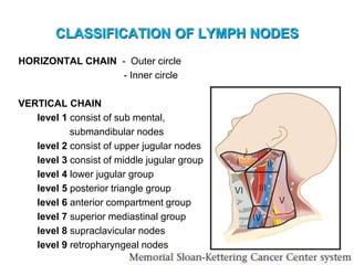 CLASSIFICATION OF LYMPH NODES
HORIZONTAL CHAIN - Outer circle
- Inner circle
VERTICAL CHAIN
level 1 consist of sub mental,
submandibular nodes
level 2 consist of upper jugular nodes
level 3 consist of middle jugular group
level 4 lower jugular group
level 5 posterior triangle group
level 6 anterior compartment group
level 7 superior mediastinal group
level 8 supraclavicular nodes
level 9 retropharyngeal nodes
 