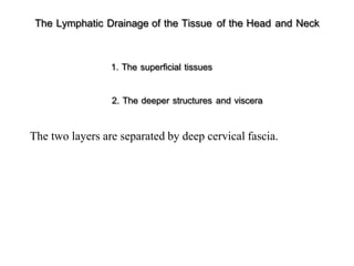 The Lymphatic Drainage of the Tissue of the Head and Neck
1. The superficial tissues
2. The deeper structures and viscera
The two layers are separated by deep cervical fascia.
 