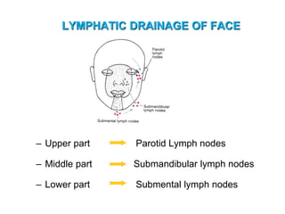 LYMPHATIC DRAINAGE OF FACE
– Upper part Parotid Lymph nodes
– Middle part Submandibular lymph nodes
– Lower part Submental lymph nodes
 