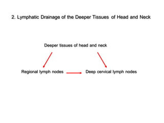 Regional Lymph Node
- Retropharyngeal
- Paratracheal
- Infrahyoid
- Prelaryngeal
- Pretracheal
- Lingual
Infrahyoid node
P...