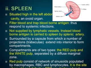 Lymph and lymphatic system | PPTX