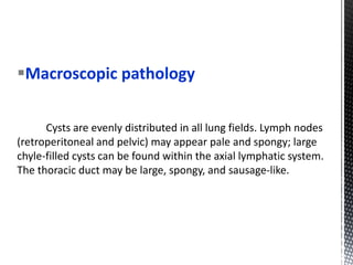 Macroscopic pathology
Cysts are evenly distributed in all lung fields. Lymph nodes
(retroperitoneal and pelvic) may appear pale and spongy; large
chyle-filled cysts can be found within the axial lymphatic system.
The thoracic duct may be large, spongy, and sausage-like.
 