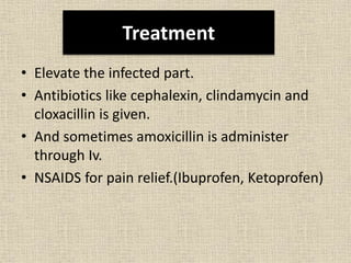 Treatment
• Elevate the infected part.
• Antibiotics like cephalexin, clindamycin and
cloxacillin is given.
• And sometimes amoxicillin is administer
through Iv.
• NSAIDS for pain relief.(Ibuprofen, Ketoprofen)
 