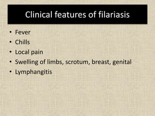 Clinical features of filariasis
• Fever
• Chills
• Local pain
• Swelling of limbs, scrotum, breast, genital
• Lymphangitis
 