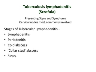 Stages of Tubercular Lymphadenitis -
• Lymphadenitis
• Periadenitis
• Cold abscess
• 'Collar stud' abscess
• Sinus
Presenting Signs and Symptoms
Cervical nodes most commonly involved
Tuberculosis lymphadenitis
(Scrofula)
 
