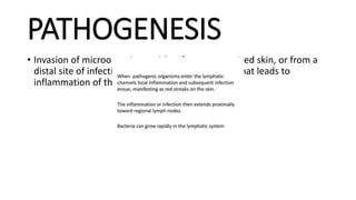 PATHOGENESIS
• Invasion of microorganisms either from traumatized skin, or from a
distal site of infection into the lymphatic vessels that leads to
inflammation of the vessel.
 