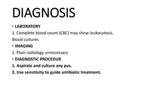 DIAGNOSIS
• LABORATORY
1. Complete blood count (CBC) may show leukocytosis.
Blood cultures
• IMAGING
1. Plain radiology unnecessary
• DIAGNOSTIC PROCEDUR
1. Aspirate and culture any pus.
2. Use sensitivity to guide antibiotic treatment.
 