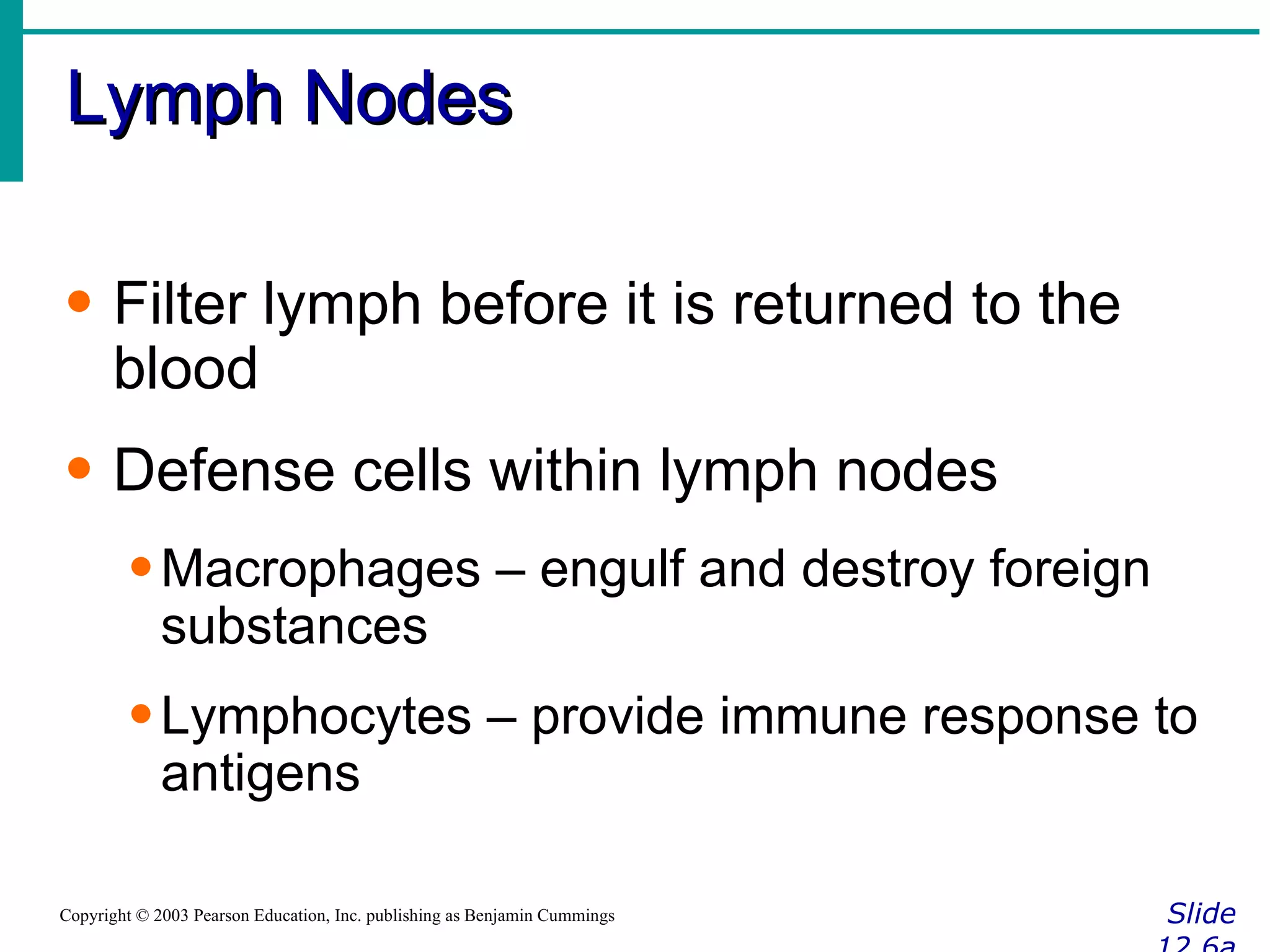 Lymph Nodes Slide 12.6a Copyright © 2003 Pearson Education, Inc. publishing as Benjamin Cummings Filter lymph before it is returned to the blood Defense cells within lymph nodes Macrophages – engulf and destroy foreign substances Lymphocytes – provide immune response to antigens  