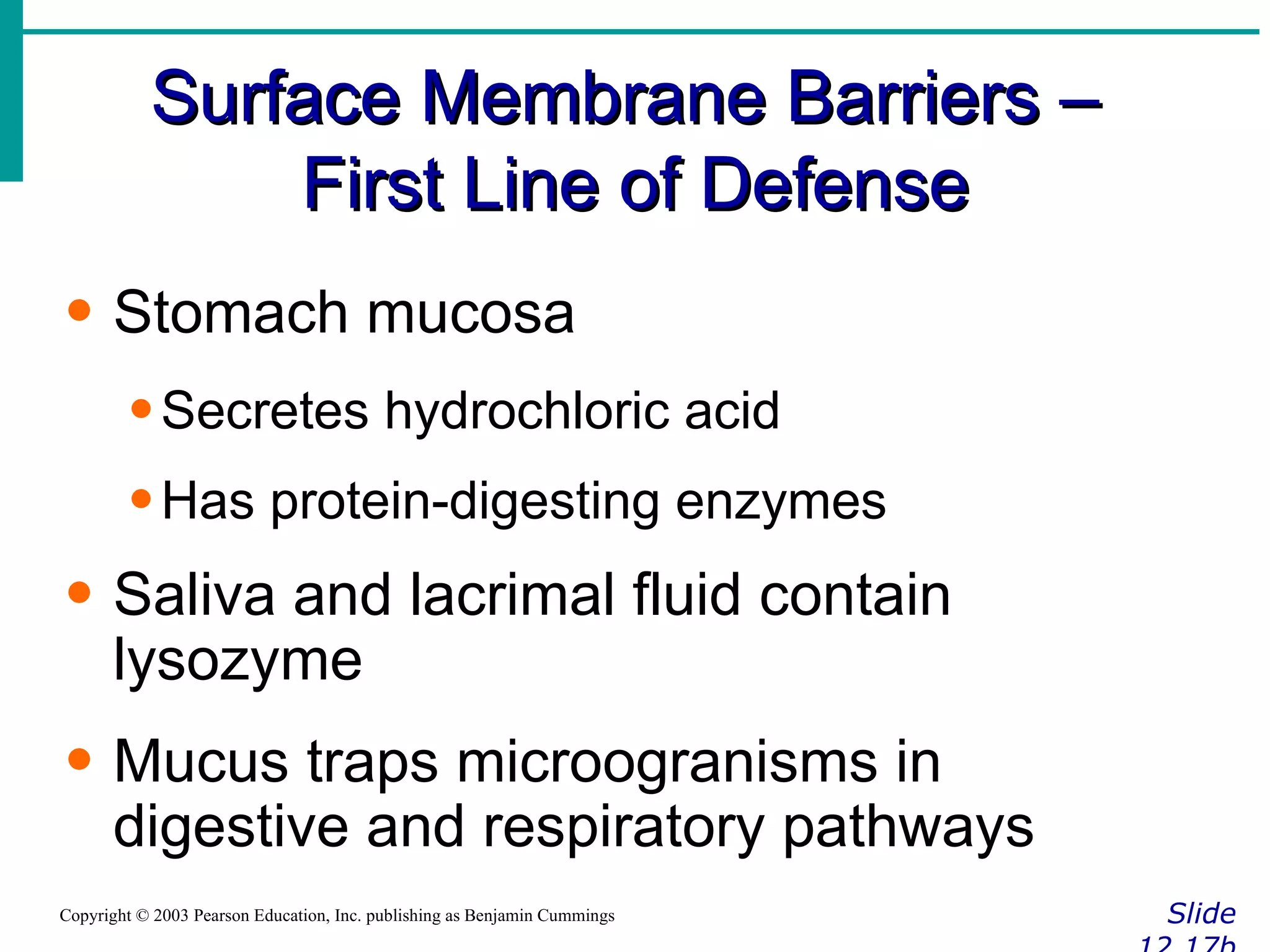 Surface Membrane Barriers –  First Line of Defense Slide 12.17b Copyright © 2003 Pearson Education, Inc. publishing as Benjamin Cummings Stomach mucosa Secretes hydrochloric acid Has protein-digesting enzymes Saliva and lacrimal fluid contain lysozyme Mucus traps microogranisms in digestive and respiratory pathways 