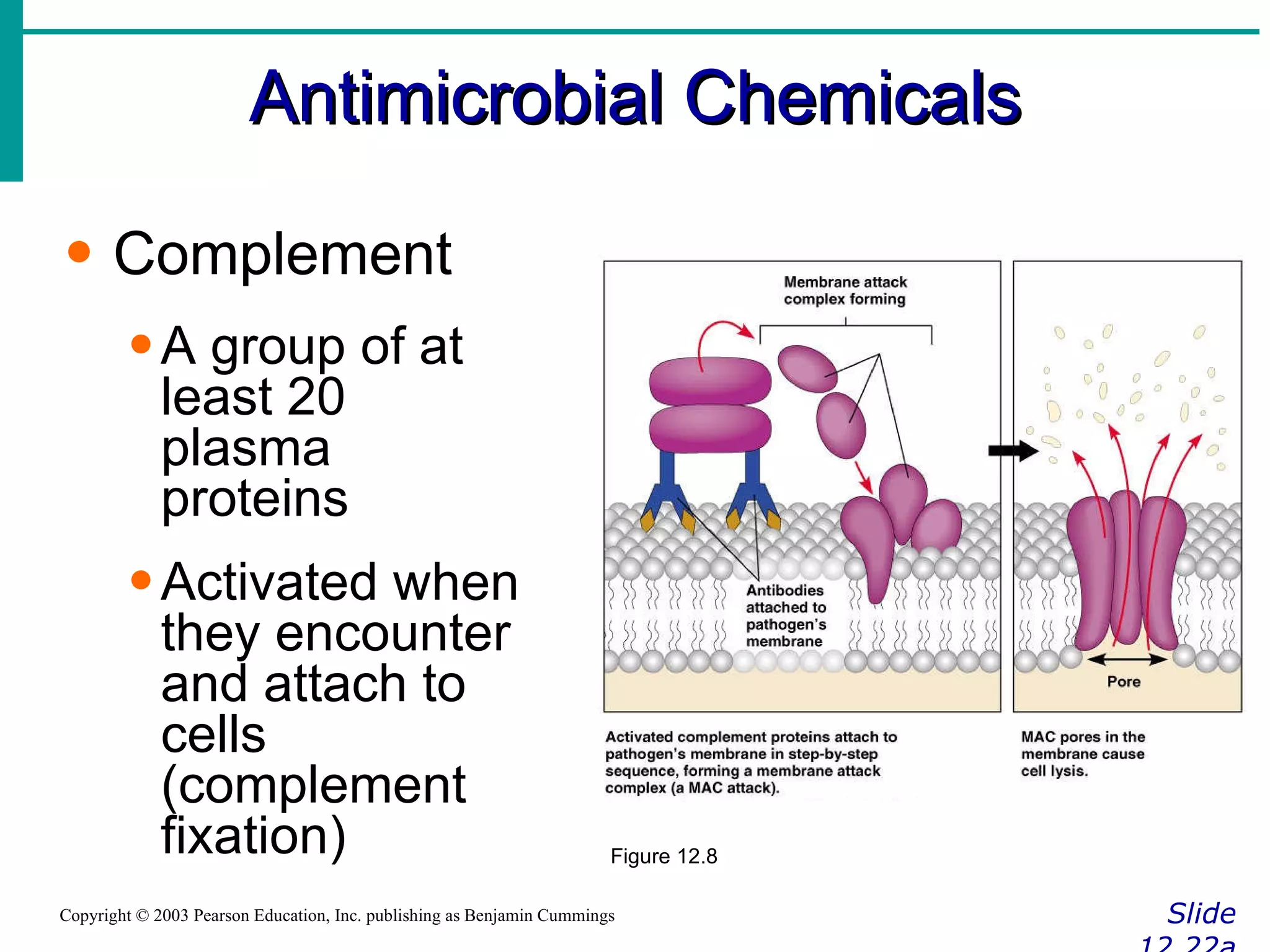 Antimicrobial Chemicals Slide 12.22a Copyright © 2003 Pearson Education, Inc. publishing as Benjamin Cummings Complement A group of at least 20 plasma proteins Activated when they encounter and attach to cells (complement fixation) Figure 12.8 