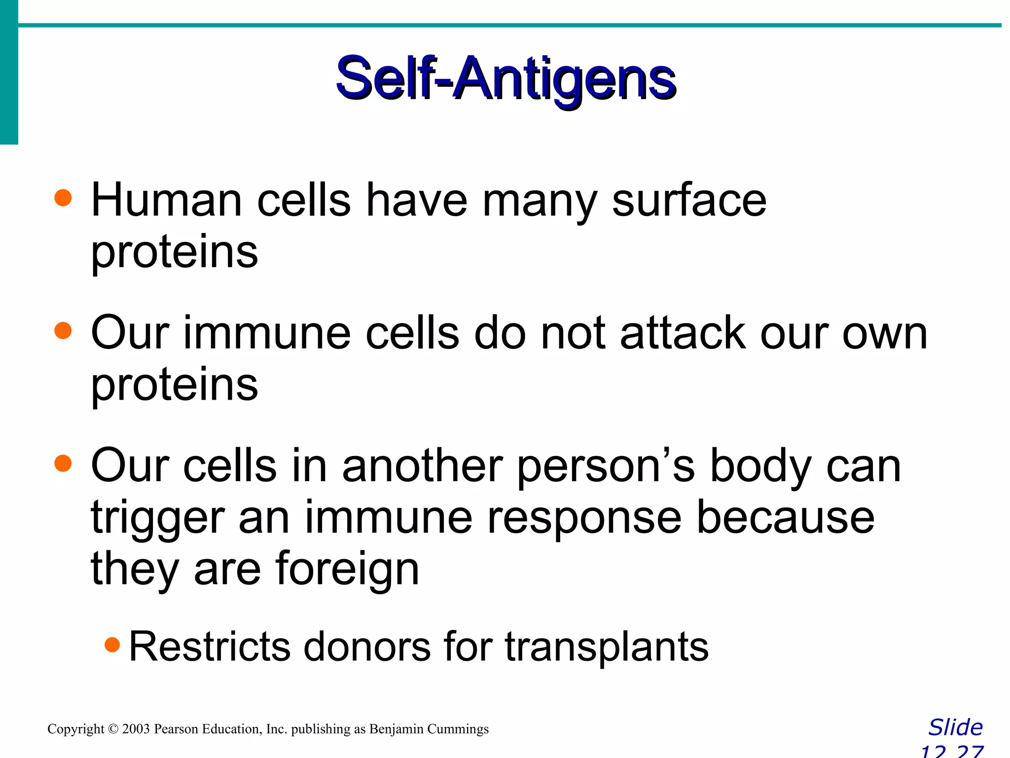 Self-Antigens Slide 12.27 Copyright © 2003 Pearson Education, Inc. publishing as Benjamin Cummings Human cells have many surface proteins Our immune cells do not attack our own proteins Our cells in another person’s body can trigger an immune response because they are foreign Restricts donors for transplants 
