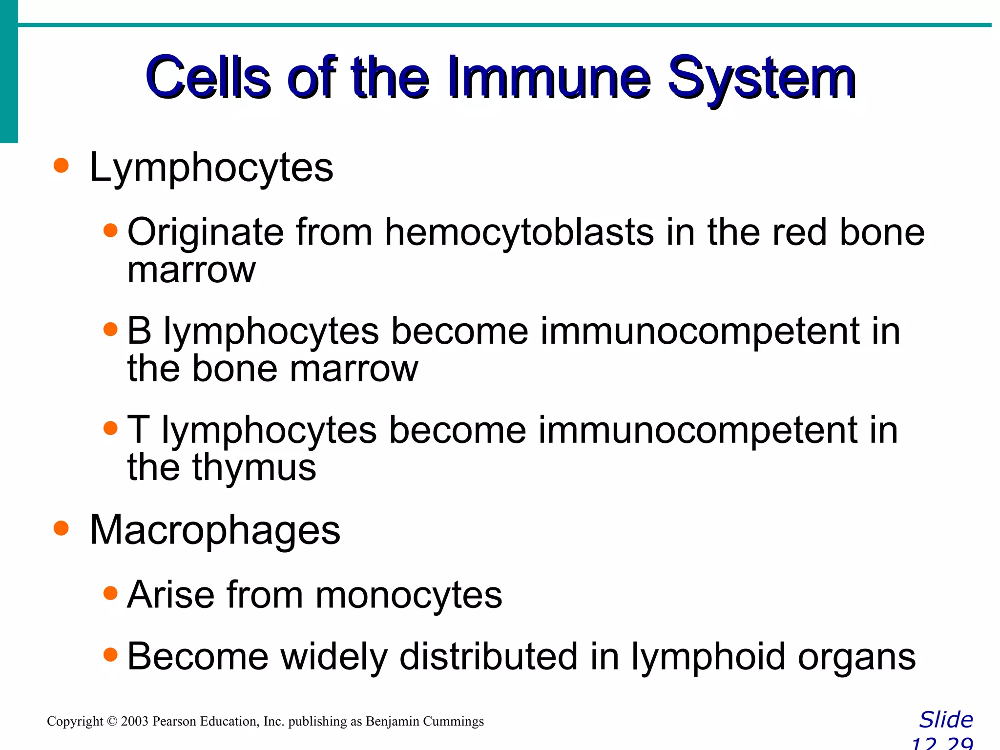 Cells of the Immune System Slide 12.29 Copyright © 2003 Pearson Education, Inc. publishing as Benjamin Cummings Lymphocytes Originate from hemocytoblasts in the red bone marrow B lymphocytes become immunocompetent in the bone marrow T lymphocytes become immunocompetent in the thymus Macrophages Arise from monocytes Become widely distributed in lymphoid organs 