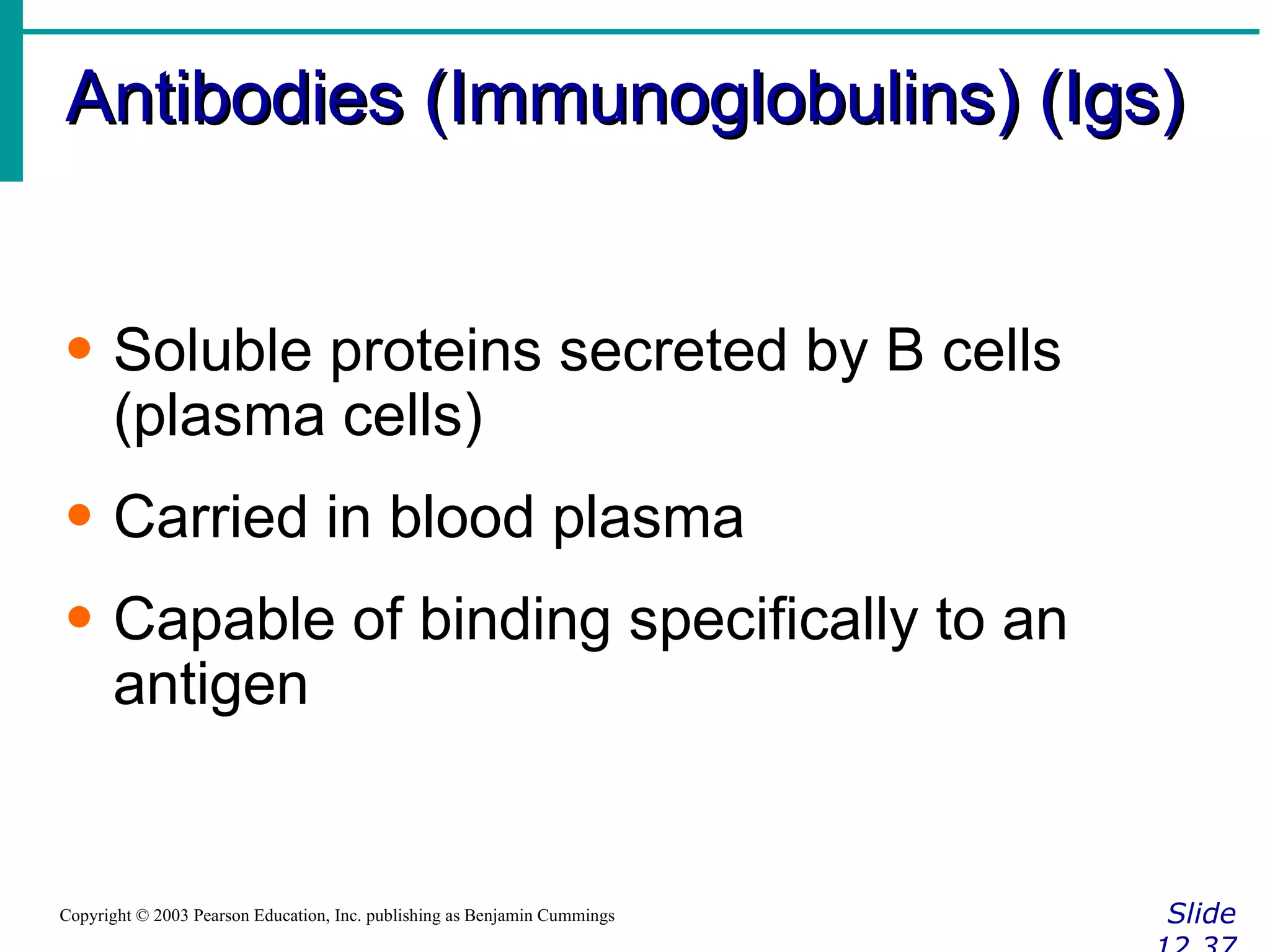 Antibodies (Immunoglobulins) (Igs) Slide 12.37 Copyright © 2003 Pearson Education, Inc. publishing as Benjamin Cummings Soluble proteins secreted by B cells (plasma cells) Carried in blood plasma Capable of binding specifically to an antigen 