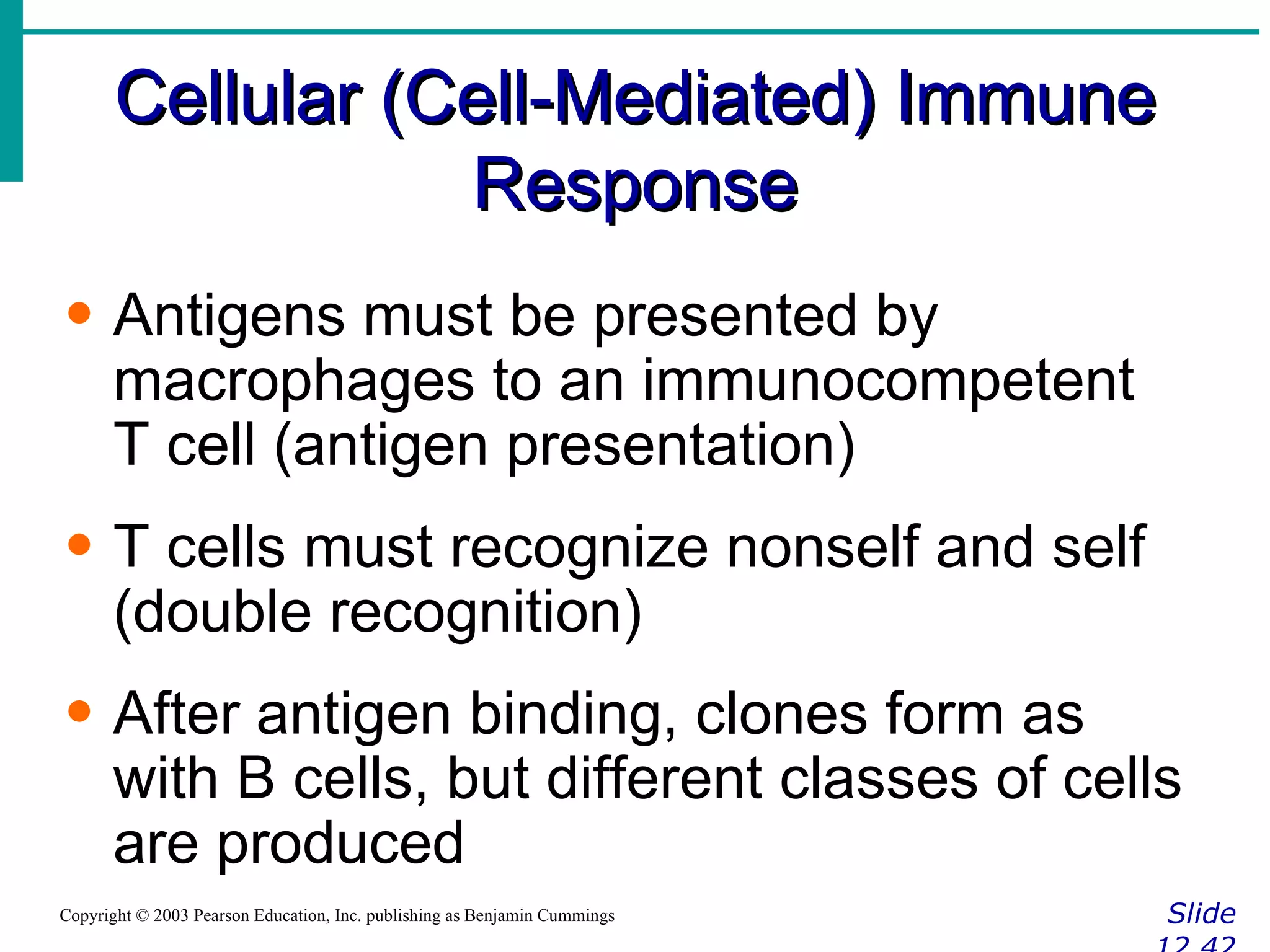 Cellular (Cell-Mediated) Immune Response Slide 12.42 Copyright © 2003 Pearson Education, Inc. publishing as Benjamin Cummings Antigens must be presented by macrophages to an immunocompetent T cell (antigen presentation) T cells must recognize nonself and self (double recognition) After antigen binding, clones form as with B cells, but different classes of cells are produced 