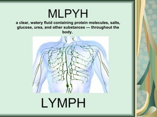 LYMPH MLPYH a clear, watery fluid containing protein molecules, salts, glucose, urea, and other substances — throughout the body.   