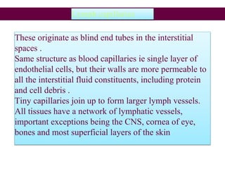 Lymph capillaries
These originate as blind end tubes in the interstitial
spaces .
Same structure as blood capillaries ie single layer of
endothelial cells, but their walls are more permeable to
all the interstitial fluid constituents, including protein
and cell debris .
Tiny capillaries join up to form larger lymph vessels.
All tissues have a network of lymphatic vessels,
important exceptions being the CNS, cornea of eye,
bones and most superficial layers of the skin
 