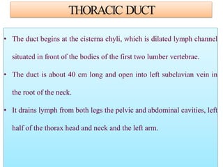 THORACIC DUCT
• The duct begins at the cisterna chyli, which is dilated lymph channel
situated in front of the bodies of the first two lumber vertebrae.
• The duct is about 40 cm long and open into left subclavian vein in
the root of the neck.
• It drains lymph from both legs the pelvic and abdominal cavities, left
half of the thorax head and neck and the left arm.
 