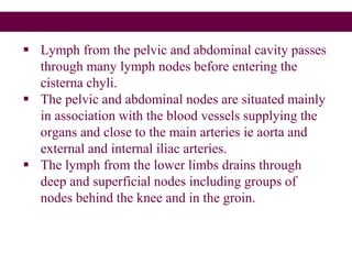  Lymph from the pelvic and abdominal cavity passes
through many lymph nodes before entering the
cisterna chyli.
 The pelvic and abdominal nodes are situated mainly
in association with the blood vessels supplying the
organs and close to the main arteries ie aorta and
external and internal iliac arteries.
 The lymph from the lower limbs drains through
deep and superficial nodes including groups of
nodes behind the knee and in the groin.
 