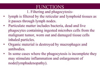 FUNCTIONS
1. Filtering and phagocytosis-
• lymph is filtered by the reticular and lymphoid tissues as
it passes through lymph nodes.
• Particulate matter includes bacteria, dead and live
phagocytes containing ingested microbes cells from the
malignant tumor, worn out and damaged tissue cells
inhaled particles.
• Organic material is destroyed by macrophages and
antibodies.
• In some cases where the phagocytosis is incomplete they
may stimulate inflammation and enlargement of
node(lymphadenopathy).
 